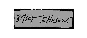 Betsey Johnson logo image