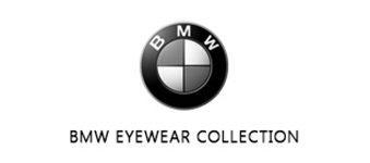 BMW logo image