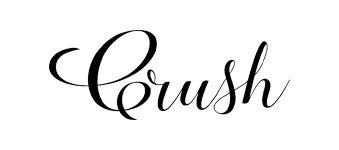 Crush Eyewear logo image