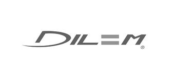 Dilem logo image