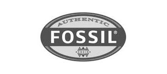 Fossil logo image