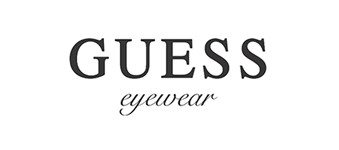 Guess logo image