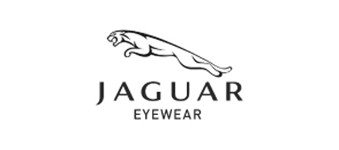 Jaguar logo image