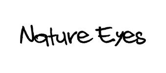 Nature Eyes logo image