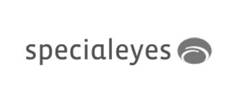 Special Eyes logo image
