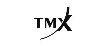 Timex TMX logo image