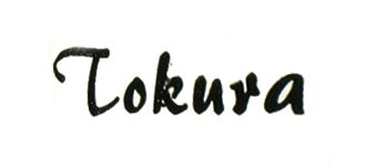 Tokura Flex logo image