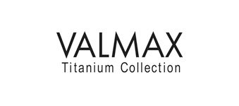 Valmax logo image