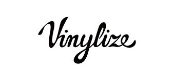 Vinylize logo image