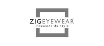 ZIG Eyewear logo image