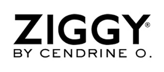 Ziggy logo image
