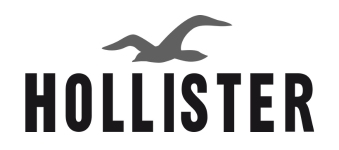Hollister logo image