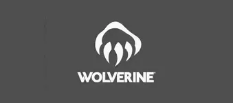 Wolverine logo image