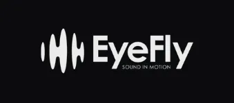 EyeFly logo image