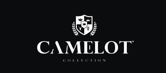 Camelot logo image