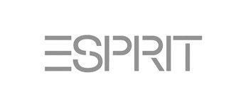 Espirit logo image